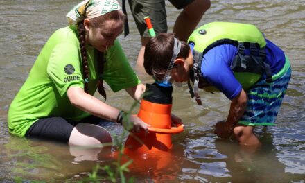 Virginia State Parks recognized as a 2026 Top Virginia Employer for Interns