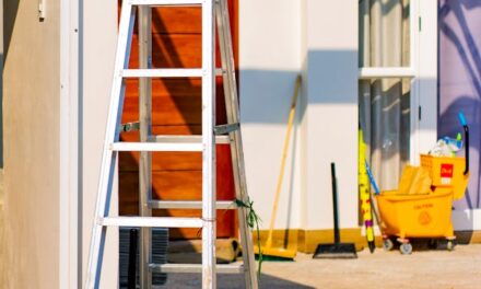 Before You Climb: Ladder Safety Starts on the Ground
