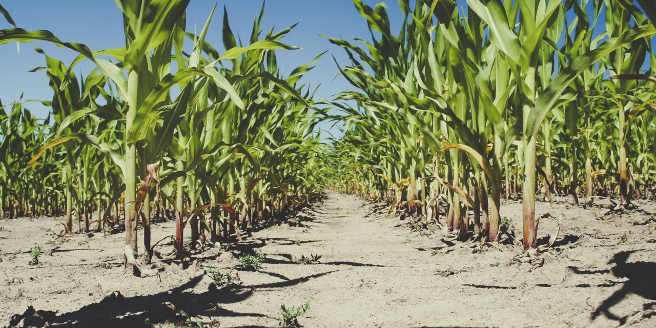 Governor Spanberger Encourages Commonsense Water Conservation in Response to Historic Drought Conditions