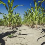 Va. officials urges caution during heat wave and drought