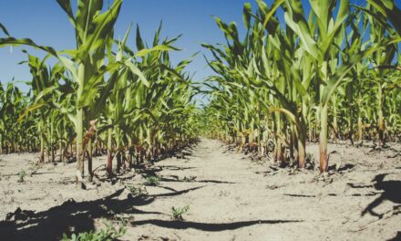 Governor Spanberger Encourages Commonsense Water Conservation in Response to Historic Drought Conditions