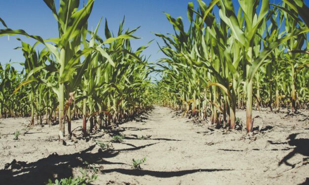Governor Spanberger Encourages Commonsense Water Conservation in Response to Historic Drought Conditions